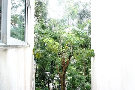 Casa à venda com 424m², 5 quartos e 4 vagasVista da Área de Serviço