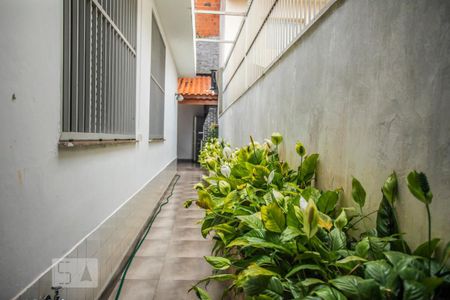 Casa à venda com 350m², 3 quartos e 8 vagasCorredor Externo