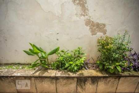 Casa à venda com 350m², 3 quartos e 8 vagasVista