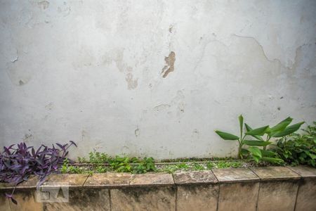 Casa à venda com 350m², 3 quartos e 8 vagasVista