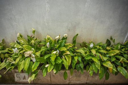 Casa à venda com 350m², 3 quartos e 8 vagasVista