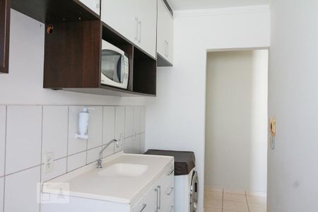 Cozinha de apartamento para alugar com 2 quartos, 46m² em Conjunto Habitacional Jardim das Palmeiras, Ribeirão Preto