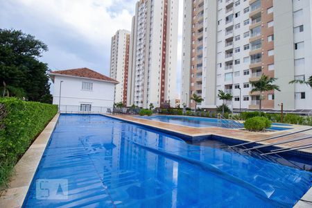 Apartamento para alugar com 80m², 3 quartos e 2 vagas Apartamento para alugar com 80m², 3 quartos e 2 vagasÁrea comum - Piscina