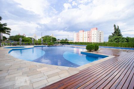 Apartamento para alugar com 80m², 3 quartos e 2 vagas Apartamento para alugar com 80m², 3 quartos e 2 vagasÁrea comum - Piscina