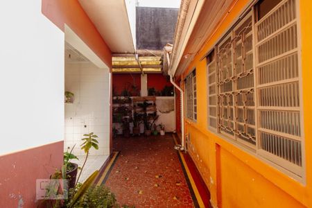 Casa à venda com 244m², 4 quartos e 3 vagasCozinha e área de serviço - edícula