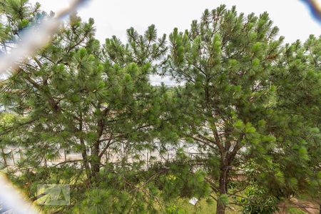 Apartamento à venda com 52m², 2 quartos e 1 vagaVista do quarto 2