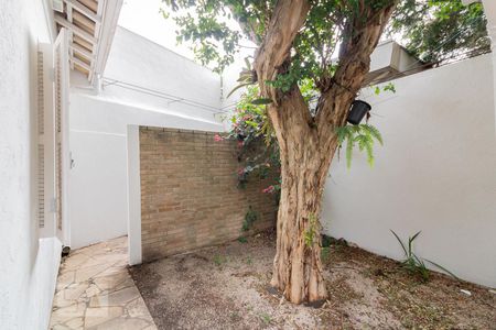 Casa à venda com 450m², 4 quartos e 5 vagas Casa à venda com 450m², 4 quartos e 5 vagasQuintal