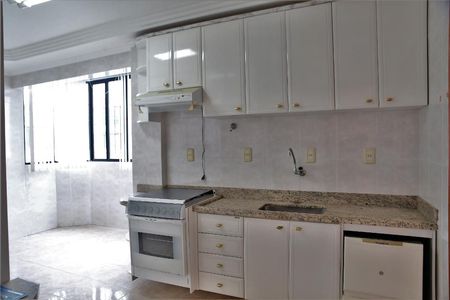 Apartamento para alugar com 256m², 4 quartos e 2 vagasCozinha - Armários