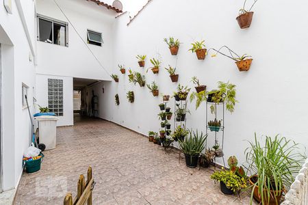 Casa para alugar com 350m², 3 quartos e 6 vagasQuintal