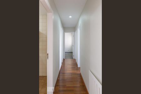 Corredor de apartamento para alugar com 3 quartos, 71m² em Vila Ipojuca, São Paulo