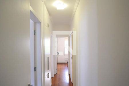 Corredor de apartamento para alugar com 3 quartos, 107m² em Anchieta, Belo Horizonte