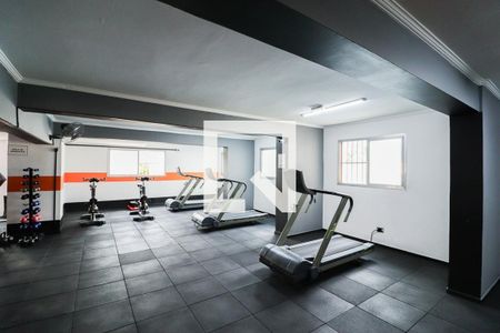 Apartamento para alugar com 70m², 2 quartos e 1 vaga Apartamento para alugar com 70m², 2 quartos e 1 vagaÁrea comum - Academia