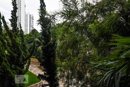 Apartamento para alugar com 424m², 4 quartos e 4 vagasVista da suíte 1