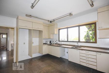 Apartamento para alugar com 424m², 4 quartos e 4 vagasCozinha