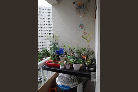 Varanda de apartamento para alugar com 2 quartos, 50m² em Del Castilho, Rio de Janeiro