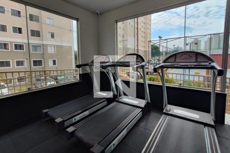 Apartamento para alugar com 49m², 2 quartos e 1 vagaÁrea comum - Academia