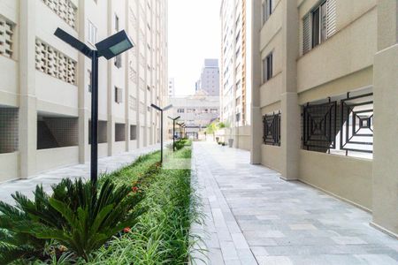 Apartamento para alugar com 87m², 3 quartos e sem vagaÁrea comum