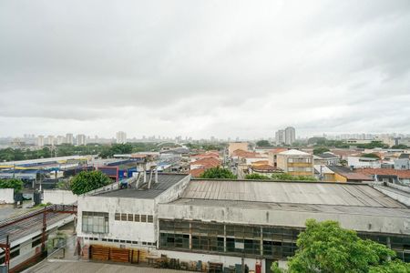 Apartamento à venda com 75m², 3 quartos e 1 vaga Apartamento à venda com 75m², 3 quartos e 1 vagaVista do quarto 01