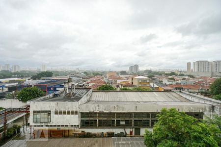 Apartamento à venda com 75m², 3 quartos e 1 vaga Apartamento à venda com 75m², 3 quartos e 1 vagaVista da suíte