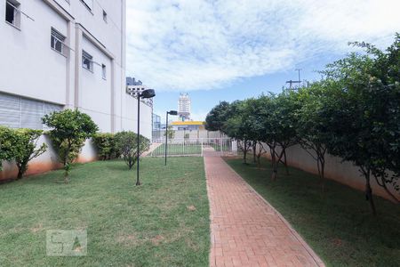 Apartamento para alugar com 60m², 2 quartos e 1 vagaEspaço Pet