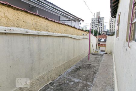 Casa para alugar com 25m², 1 quarto e sem vagaQuintal