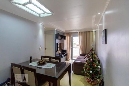 Apartamento para alugar em Vila Pierina