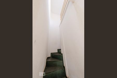 Escada de casa de condomínio para alugar com 2 quartos, 55m² em Estrela Dalva, Belo Horizonte