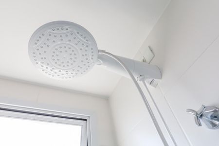 Studio para alugar com 30m², 1 quarto e sem vagaChuveiro