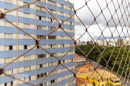 Vista da suíte de apartamento à venda com 3 quartos, 98m² em Bosque, Campinas