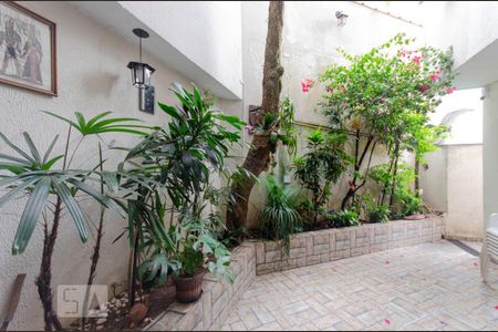 Quintal de casa para alugar com 6 quartos, 550m² em Jardim Brasilia (zona Leste), São Paulo