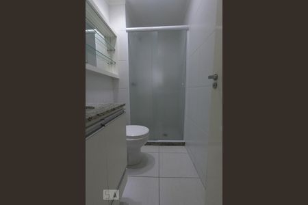 Banheiro de apartamento para alugar com 2 quartos, 54m² em Jardim Caboré, São Paulo
