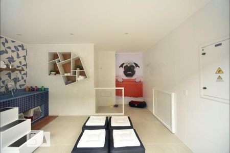 Apartamento para alugar com 28m², 1 quarto e sem vaga Apartamento para alugar com 28m², 1 quarto e sem vagaEspaço Pet