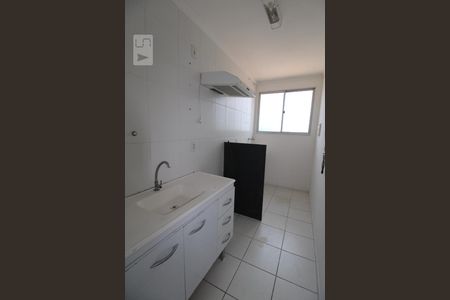 Cozinha/Área de Serviço de apartamento para alugar com 2 quartos, 46m² em Vila Trinta e Um de Março, Campinas