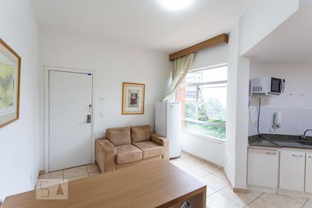 Sala/Cozinha de Apartamento com 1 quarto, 47m² Santa Efigênia