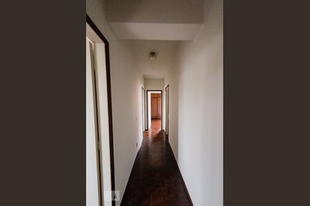 Corredor de apartamento para alugar com 3 quartos, 95m² em Calafate, Belo Horizonte