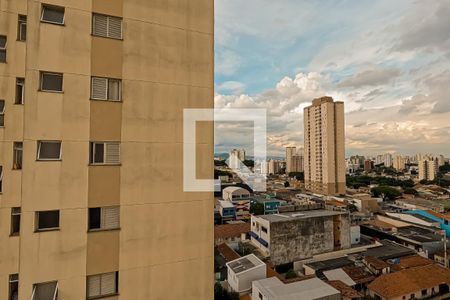 Apartamento para alugar com 58m², 2 quartos e 1 vagaVista da Suíte