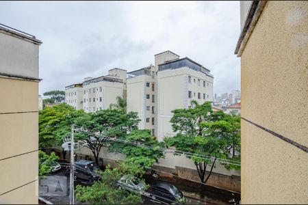 Sala de apartamento à venda com 3 quartos, 110m² em Cinquentenario, Belo Horizonte