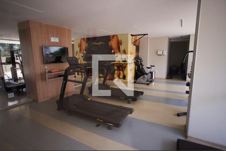 Apartamento para alugar com 80m², 3 quartos e 2 vagas Apartamento para alugar com 80m², 3 quartos e 2 vagasÁrea comum - Academia