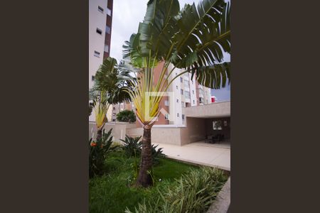 Apartamento para alugar com 80m², 3 quartos e 2 vagas Apartamento para alugar com 80m², 3 quartos e 2 vagasÁrea comum