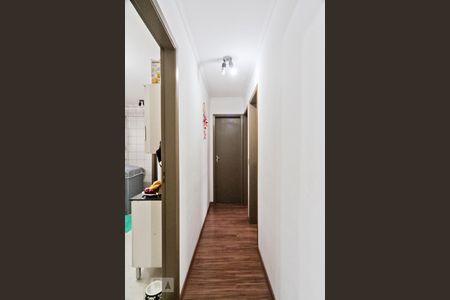 Corredor de apartamento para alugar com 2 quartos, 55m² em Vila Dionisia, São Paulo