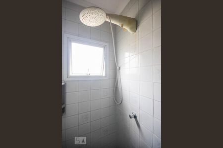 Casa para alugar com 137m², 3 quartos e 2 vagas Casa para alugar com 137m², 3 quartos e 2 vagasChuveiro do banheiro