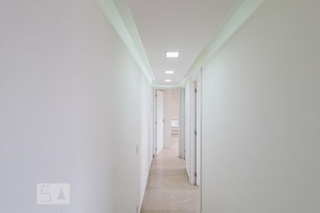 Corredor de apartamento para alugar com 2 quartos, 48m² em Cambuci, São Paulo