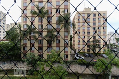 Apartamento para alugar com 65m², 2 quartos e 1 vaga Apartamento para alugar com 65m², 2 quartos e 1 vagaVista do Quarto 1