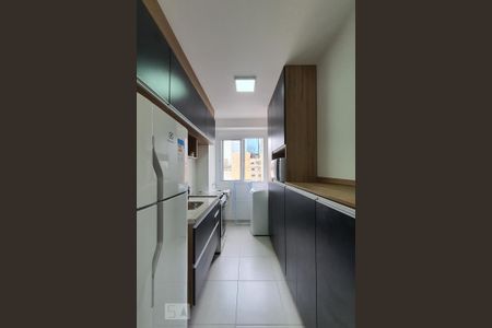 Cozinha de apartamento para alugar com 2 quartos, 37m² em Liberdade, São Paulo
