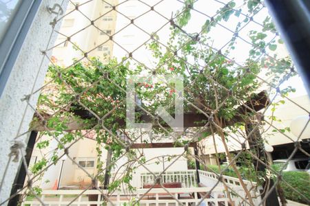 Apartamento para alugar com 65m², 3 quartos e 1 vaga Apartamento para alugar com 65m², 3 quartos e 1 vagaQuarto 1