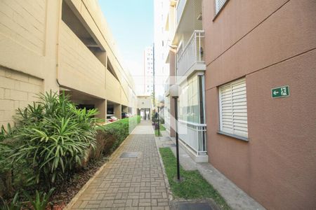 Apartamento para alugar com 65m², 3 quartos e 1 vaga Apartamento para alugar com 65m², 3 quartos e 1 vagaÁrea comum