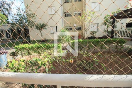 Apartamento para alugar com 65m², 3 quartos e 1 vaga Apartamento para alugar com 65m², 3 quartos e 1 vagaVaranda da sala