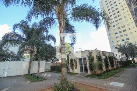 Apartamento para alugar com 65m², 3 quartos e 1 vaga Apartamento para alugar com 65m², 3 quartos e 1 vagaÁrea comum