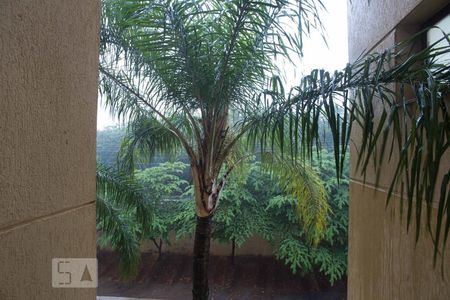 Vista da janela da suíte de apartamento para alugar com 1 quarto, 40m² em Nova Aliança, Ribeirão Preto