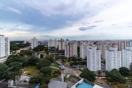 Vista da Varanda da Sala de apartamento para alugar com 2 quartos, 52m² em Jardim Celeste, São Paulo